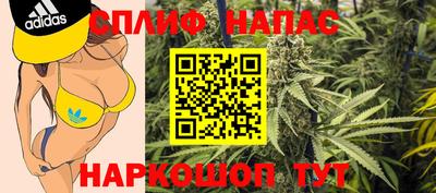 спиды Будённовск