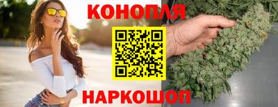 спиды Будённовск