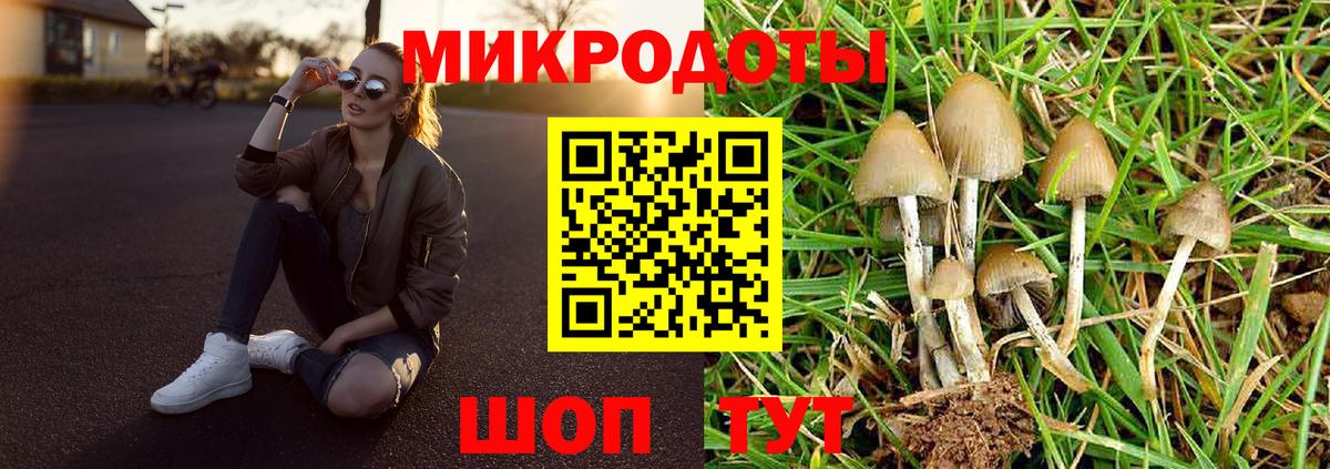 Галлюциногенные грибы GOLDEN TEACHER  Вход с VPN  Псилоцибиновые грибы GOLDEN TEACHER  Сергиев Посад 