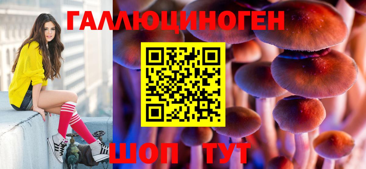 Псилоцибиновые грибы прущие грибы Сергиев Посад